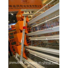 Automatic Chicken Cage for Layer Chicken